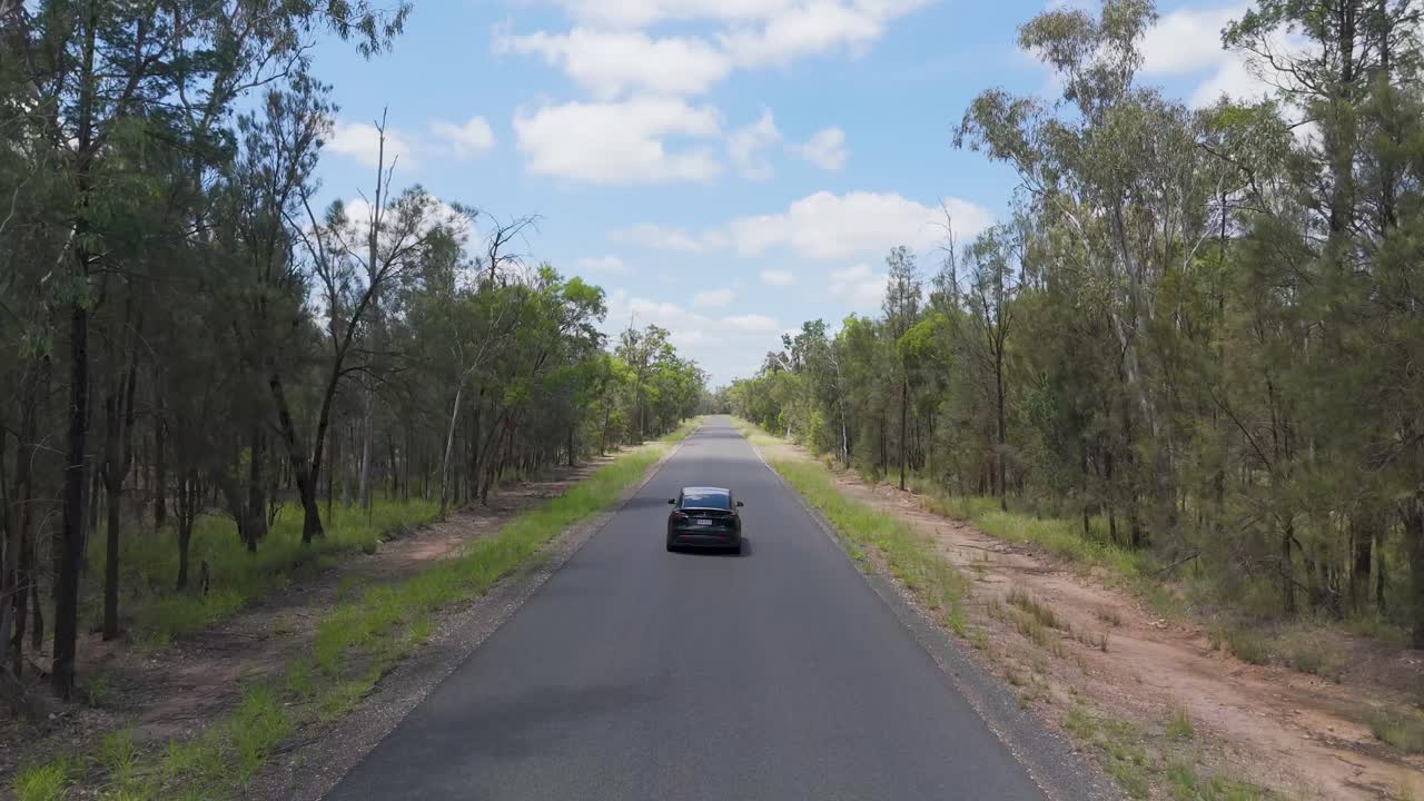 el coche viaja por una carretera panorámica en el bosque de australia.