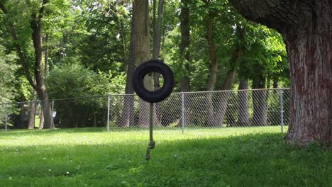 tree-swing-tire-in-backyard-with-grass