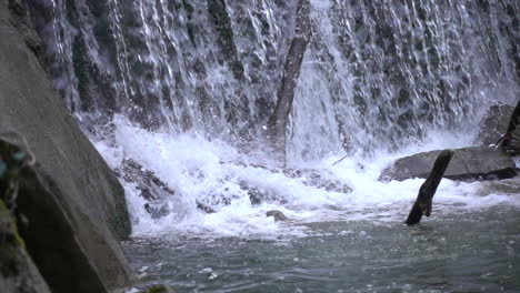 cámara lenta de agua cayendo a través de un vacío en un bosque suizo y aterrizando en rocas