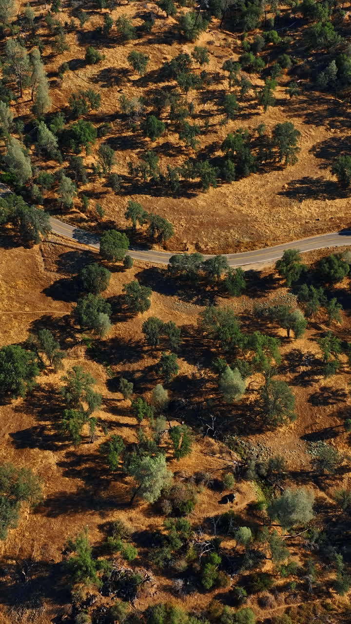 Summer sierra american national forest. Tourism mountain aerial scenic.