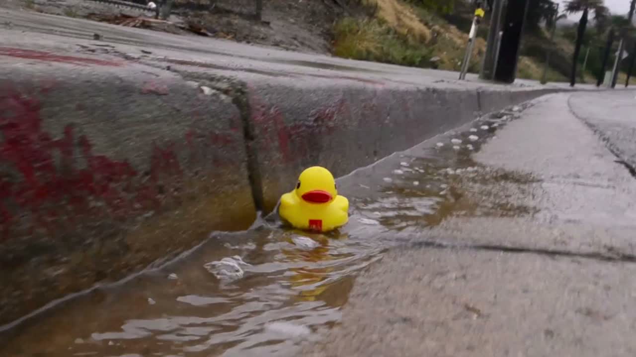 Yellow rubber duck floating down a street gutter after heavy rain in Ventura California