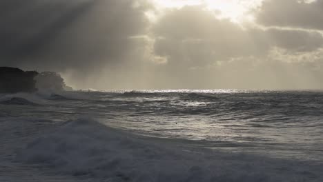 孤獨的衝浪者在暴風雨的日出時, 在悉尼布朗特海灘 (bronte beach) <unk>水.