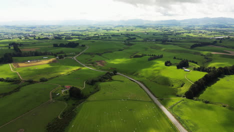 Vista-Aérea-De-Campos-Y-Pastos-En-Una-Inmensa-Vegetación