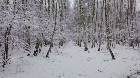 Temperaturabfall,-Schneefall,-Sturm,-Konzept,-POV,-Alleiniges-Gehen-Im-Winterwald,-Weiße-Landschaft