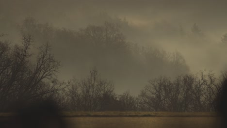 a dark and eerie atmosphere of fog hovering over the trees in the valley