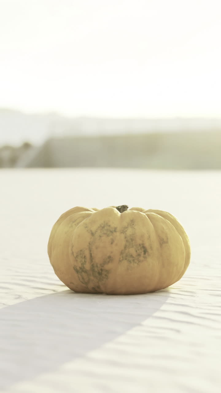 Lonely pumpkin rests on sandy terrain under soft golden sunlight