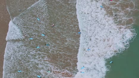 los surfistas caminan desde la costa hacia fuera para romper arrastrando tablas largas, de arriba hacia abajo