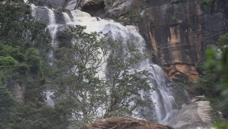 cascada rocosa fluye fuertemente rodeada de exuberante jungla