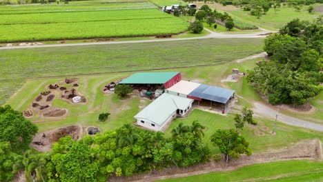 drone footage captures a rural farm with sugarcane fields in port douglas, queensland, under bright daylight