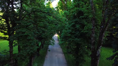 Aerial shot of a country road surrounded by trees