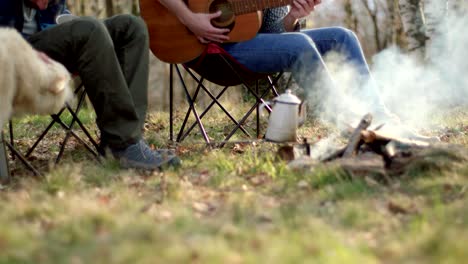 man playing guitar and friend stroking dog together around fire place.real friends people outdoor camping tent vacation in autumn trip.fall sunny day in nature, togetherness and friendship. 4k video