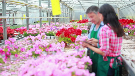 Gardener-standing-at-the-greenhouse-while-working-