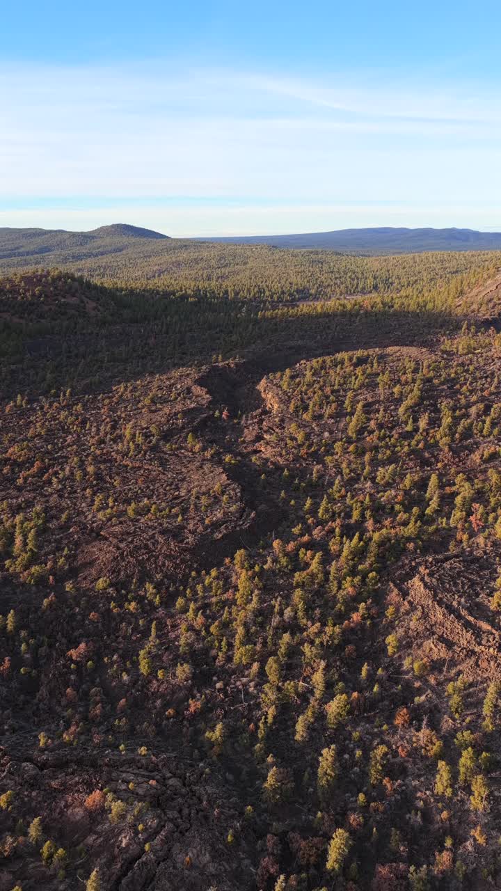 Una prospettiva aerea verticale dall'alto domina un aspro campo lavico e una foresta sempreverde. Questo paesaggio vulcanico grezzo e il terreno ricco di texture sono perfetti per documentari naturalistici e per lo storytelling di marchi di viaggi.