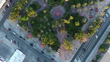 drone top view of a green tree park in the center of a city