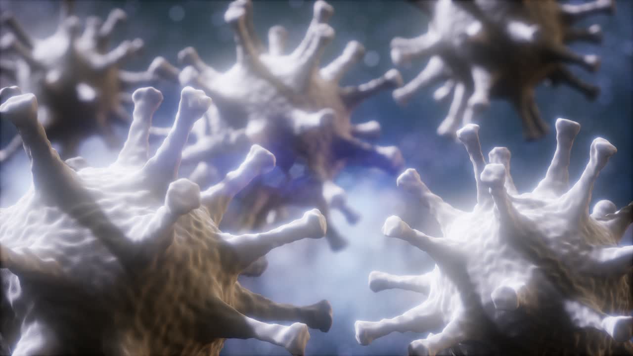 코로나바이러스 코비드-2019의 루프 회전