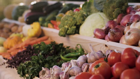 vegetable counter at farmers' fair