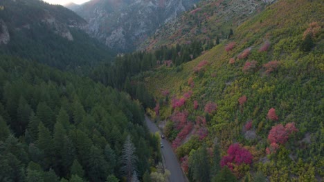 aerial: american fork canyon trees in autumnal colors, utah's wasatch range