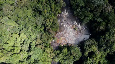 vista superior aérea de la selva amazónica de dosel alto