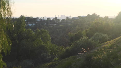 sunset vista from griffith park trail