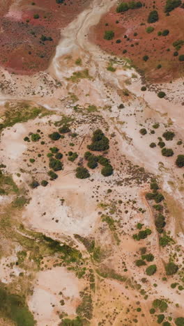 dry landscape with no vegetation and little moss and lichen. many colors combining in the soil. aerial perspective. vertical video