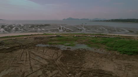 aerial view of expansive coastal scene featuring wide mudflats stretching towards the horizon with distant mountains under a cloudy sky