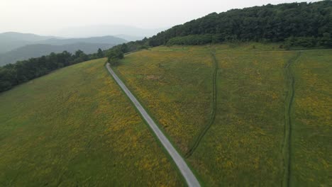 mountain trail through meadow in appalachian mountains