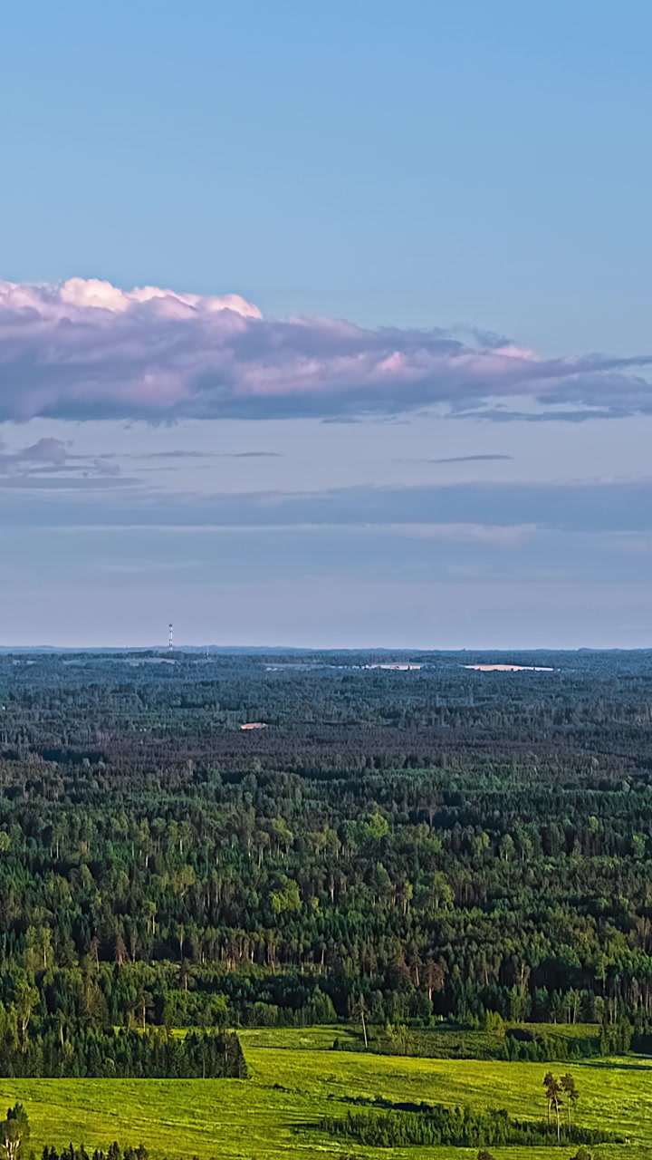 Clouds drift over a vast green forest landscape under clear blue sky in daylight