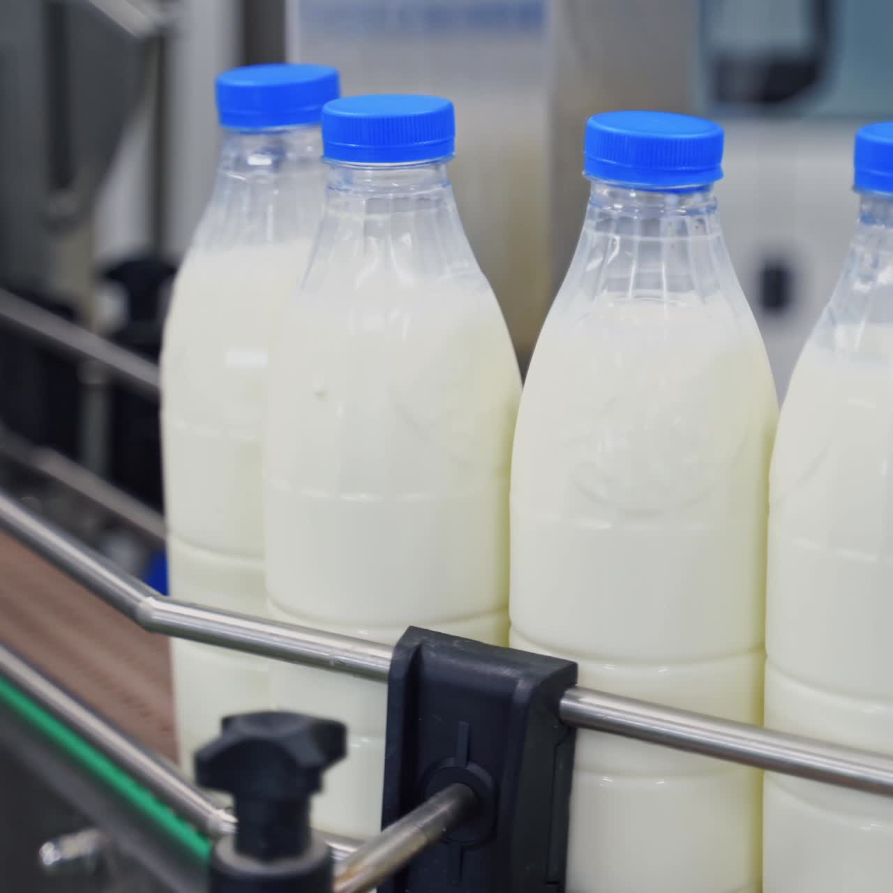 Production line at dairy factory