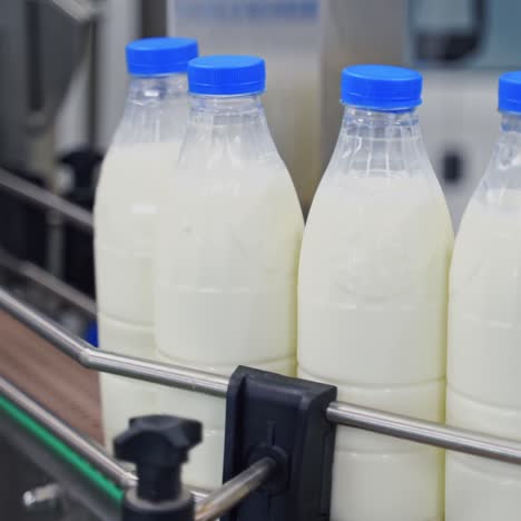 production line at dairy factory
