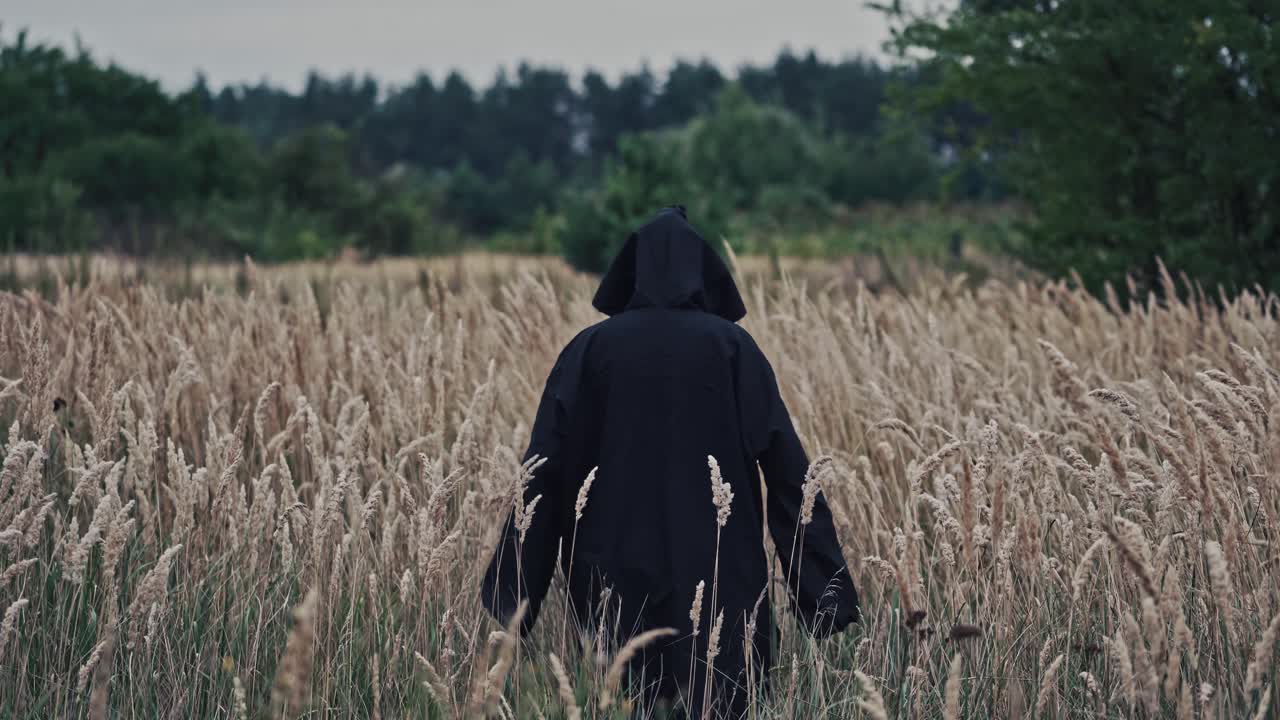 Ghost wandering in nature. Hooded ghostly figure in countryside field