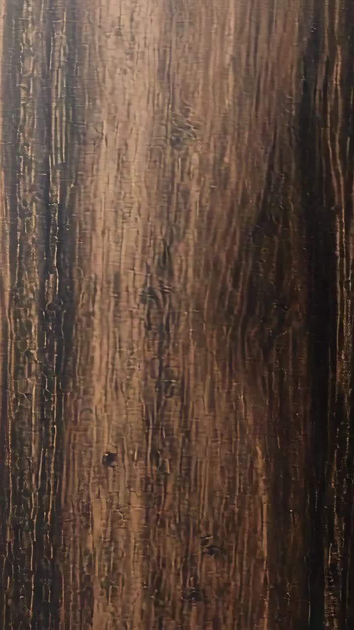 Vídeo vertical: movimiento panorámico con el teléfono que revela un panel de madera oscura y una puerta blanca brillante junto a la ventana, mostrando la veta