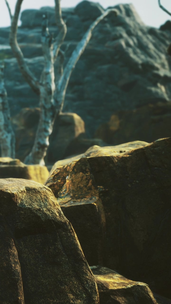 Sunlight highlights rocks and trees in a natural landscape during the day