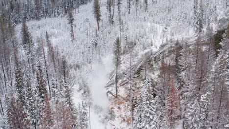 Die-Epische-Drohne-Bewegt-Sich-In-Der-Dramatischen-Komposition-Eines-Industriellen-Holzfällers,-Der-Durch-Große-Kiefern-Sägt-Und-Sie-Niederlegt,-Während-Schnee-Einen-Gespenstischen-Pulverschatten-Erzeugt