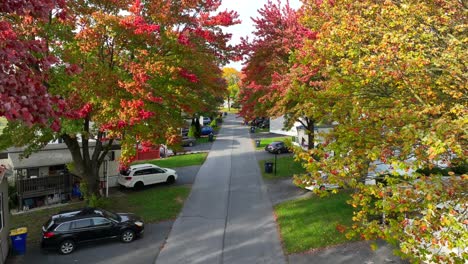 mobile home neighborhood among autumn trees