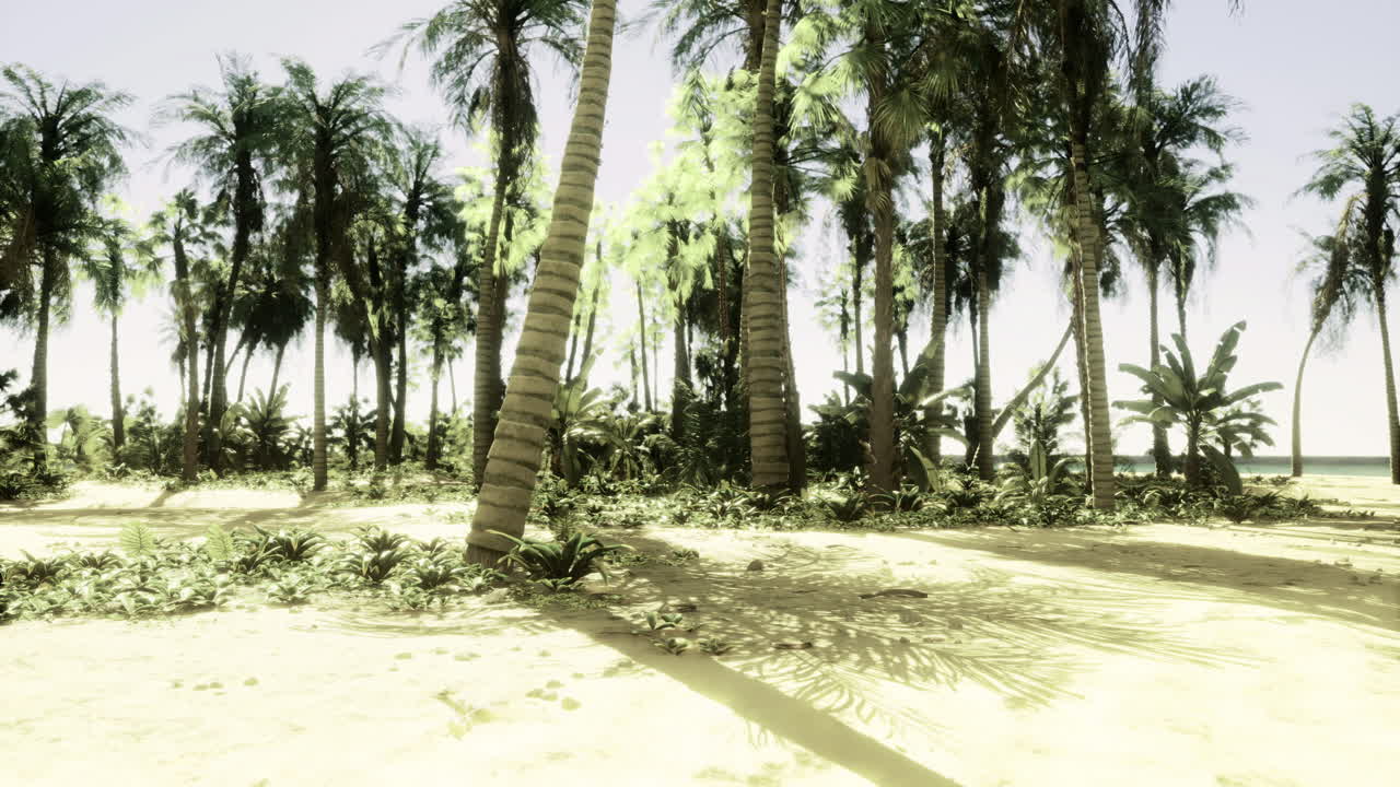 Tropical landscape with palm trees and dense vegetation near the beach