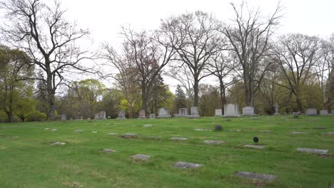 cemetery graveyard burial site wide shot green foliage trees grave site grave stones 4k