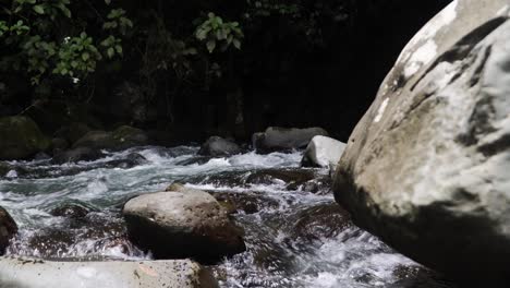 running cold river stream in the middle of the rainforest in costa rica