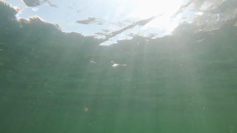 underwater sun rays and waves in turquoise lake in n canada, soft focus