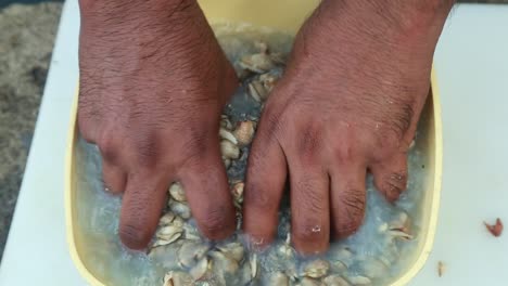 after pouring water into the bowl filled with black clam meat , then washed clean , traditional outdoor cooking