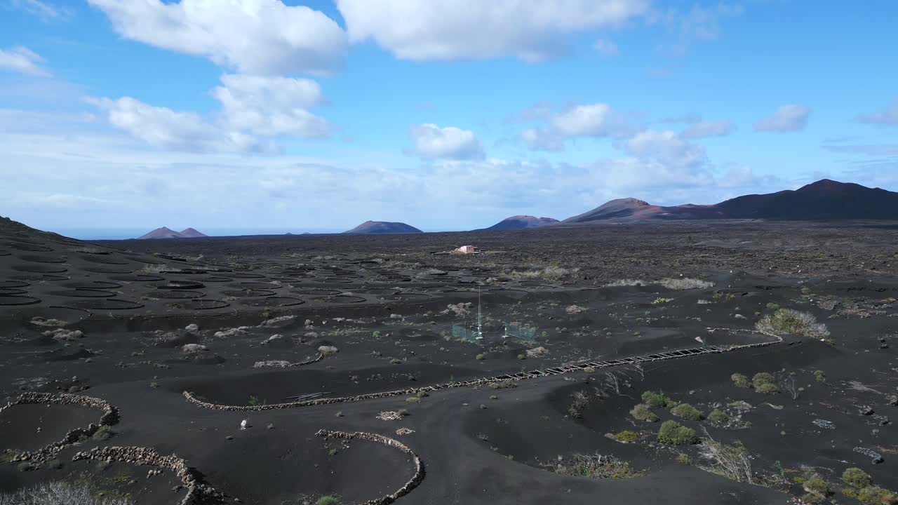 믿을 수 없는 조감도 비행 란사로테 와인 재배 라 게리아 포도원 화산의 날 2023