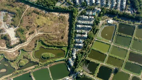 aerial pass above middle class suburban neighbourhood houses