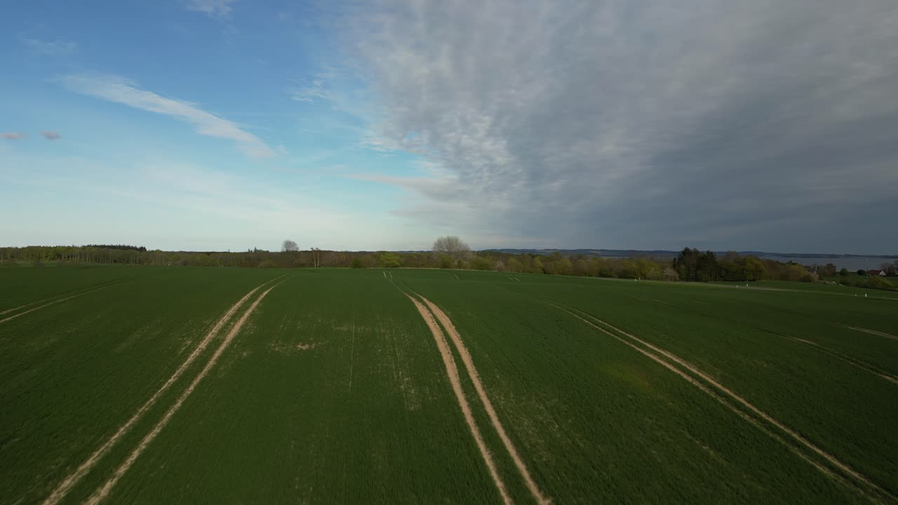 Drone recording, where the drone flies over green grass fields