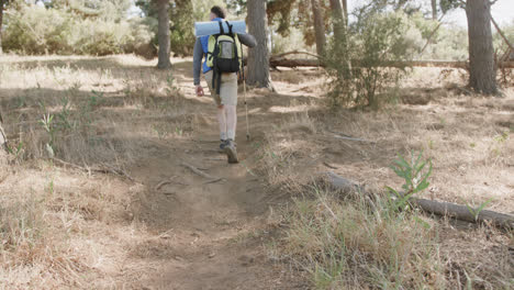 African-american-man-wearing-backpack-and-hiking-with-trekking-pole-in-forest,-slow-motion