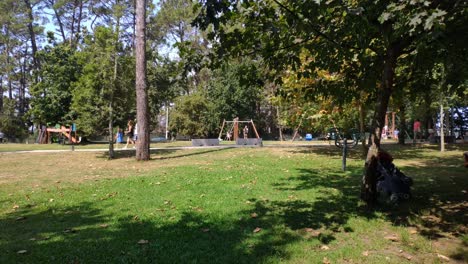 parents and children playing in the public park with its gardens and trees on a sunny summer morning