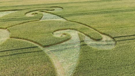 detail pattern of a corn circle near etchilhampton village in wiltshire, england, uk