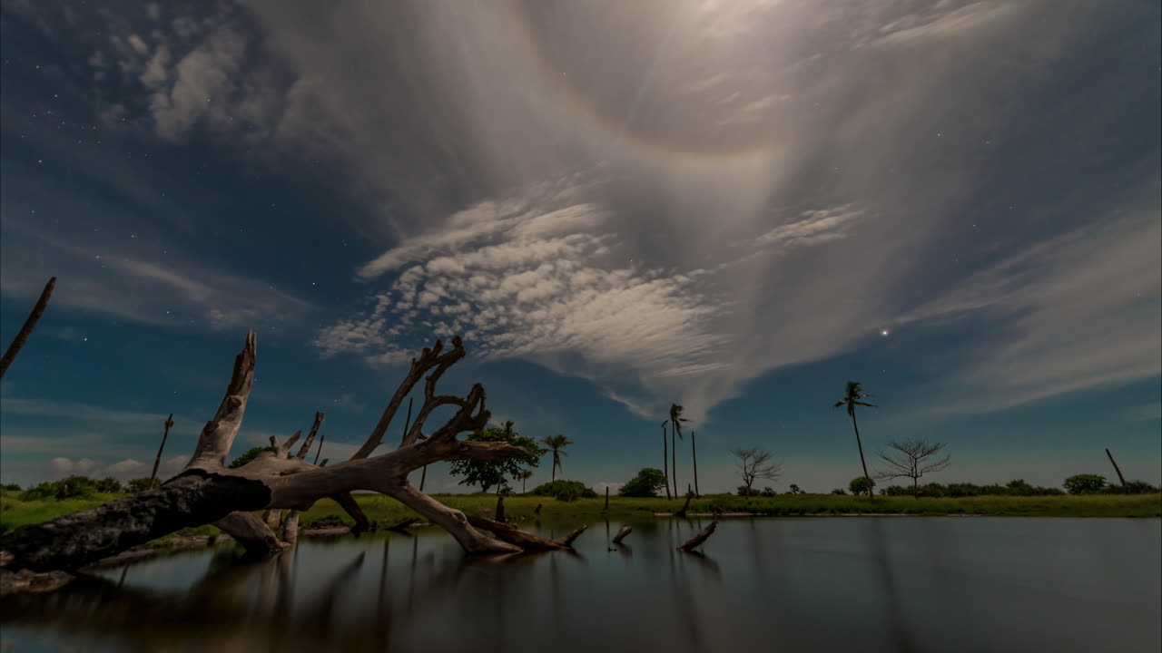 árbol muerto de lapso de tiempo sobre un lago