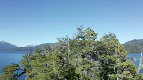 antena - puerto arauco, isla, villa angostura, neuquen, argentina, revelación ascendente hacia adelante