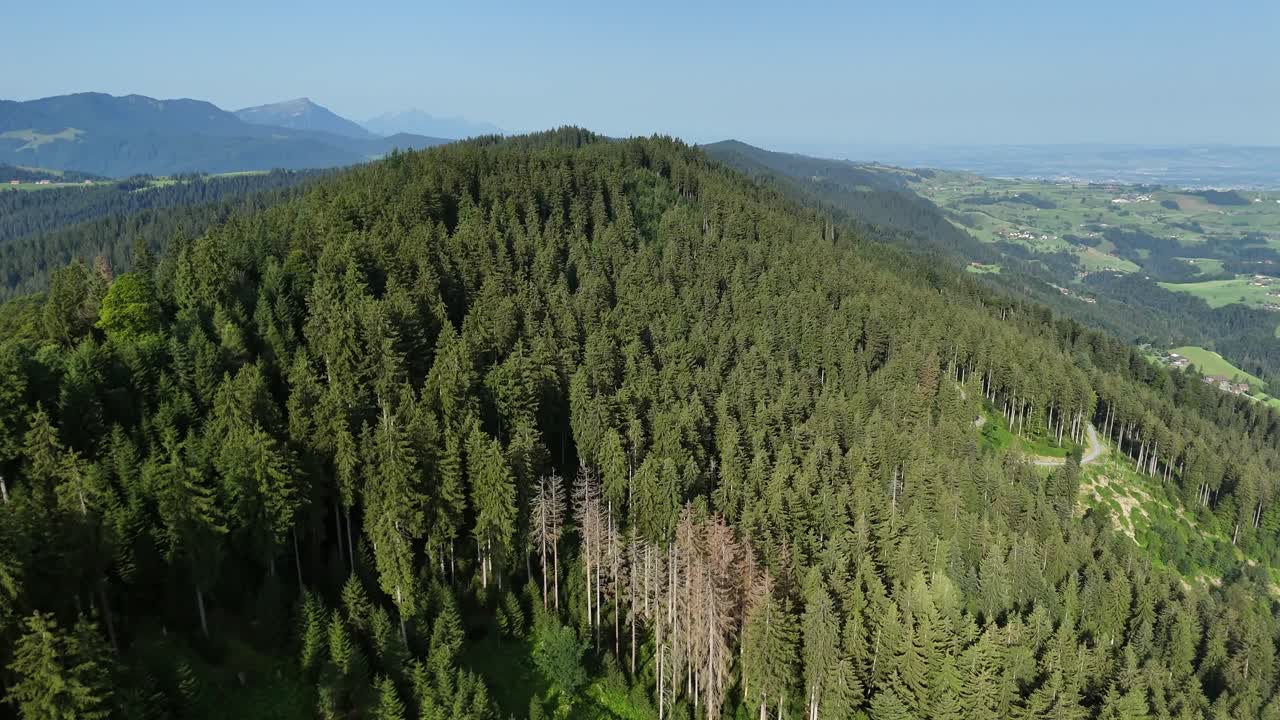 bosque verde exuberante que cubre las colinas en wildspitz, oberägeri, suiza, vista aérea