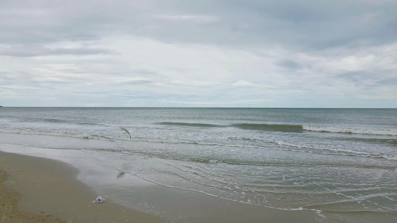 Stork Stands in the Ocean Waves and Flies Away in Cha Am Beach, Phetchaburi, Thailand.