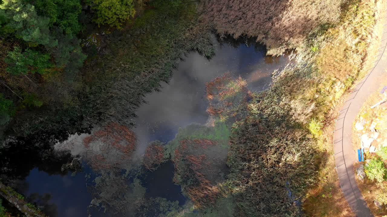 vista aérea superior de bosques pantanosos de agua dulce que reflejan el cielo, suecia, día